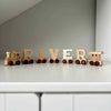 Wooden Natural Letter Train Name Toy